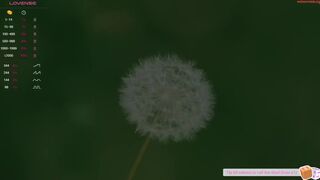 abie_owen - Video  [Chaturbate] futanari spanish Dazzling