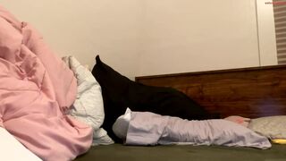 sibeal162162 - Video  [Chaturbate] Personalized shows -interracial flawless cam model