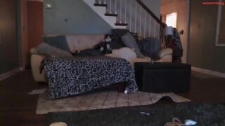 sweetcream14 - Video  [Chaturbate] show hugeboobs smalltits