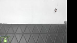 the_right_girl Video  [Chaturbate] Elegant onlyfans shaved