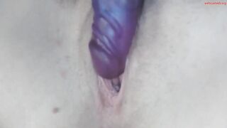 mileymadness Video  [Chaturbate] alluring proportions gamer captivating