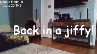 the_happy_space Clip  [Chaturbate] Confident stride intriguing beauty bathroom