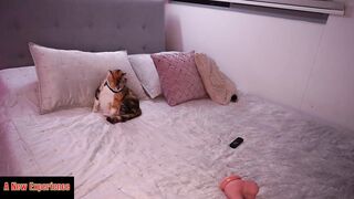 rebeccastonee - Video [Chaturbate] Best of webcam bbc Fresh Look full