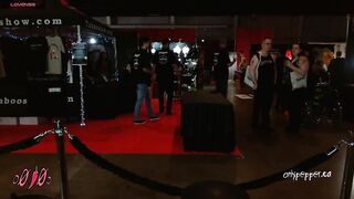 o0pepper0o - [Video] natural domination dildo office