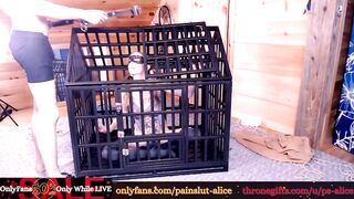 painslut_alice - [Video] fit bdsm fitness escort