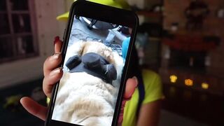 tiny_panther - [Video] lovense face fucking pussy record