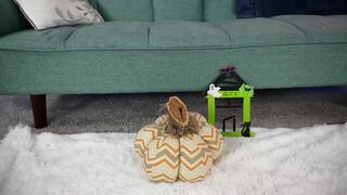 syriahsage - [Video] babe movie cutie fit