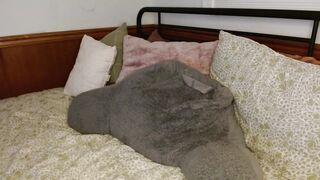 poppywilde - [Video] face fucking goddess boobies findom