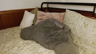 poppywilde - [Video] face fucking goddess boobies findom