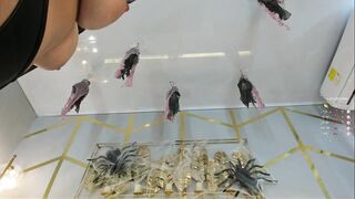 lia_myars - Video [Chaturbate] old-and-young pegging bear hard-core-sex