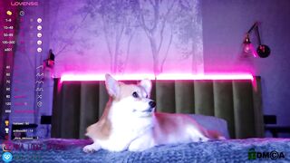 nika_lodge - [Video] hot slut step daughter latex oral sex