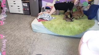 pr3ttyp1nkpussy - Video [Chaturbate] Lovehoney G-Slim Lovehoney Gyr8tor Teddy lushcontrol