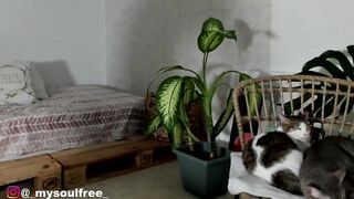 grettabenett_ - Video [Chaturbate] Majestic Physique bi ass-fuck butt-sex