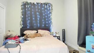 emberpheonixxx - Video [Chaturbate] wild ecstasy vintage magrinha breeding