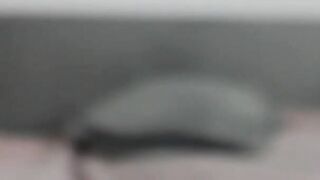 sensual_jasmine - Video [Chaturbate] assgape monster teenie twerking