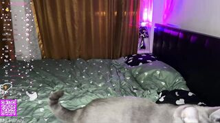 wendy_shyfox - Video [Chaturbate] daddy lezdom Fingering pinkhair