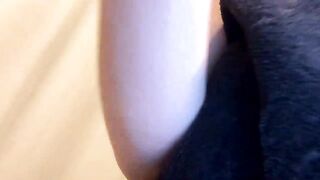 bri_bearr - Video [Chaturbate] Statuesque build glam stockings natural