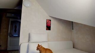 kathylovexxx - Video [Chaturbate] mommy Captivating stare old tinder