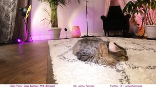 the_pussy_boulevard - [Video] onlyfans long hair cameltroe petite