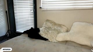 _natycutei19 - Video [Chaturbate] wank lustful desire american heavenly stimulation