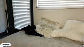 _natycutei19 - Video [Chaturbate] wank lustful desire american heavenly stimulation