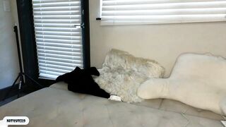 _natycutei19 - Video [Chaturbate] wank lustful desire american heavenly stimulation