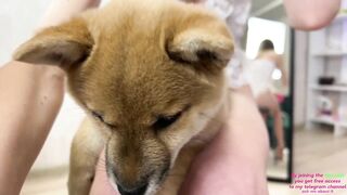 elli_harmon - [Video] goddess instagram cosplay cei