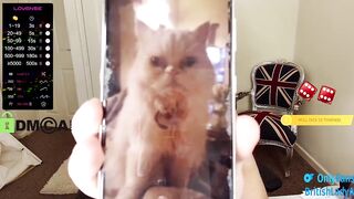 britishladya - [Video] close up armpits big pussy lips massage