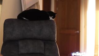 students_porn - Video [Chaturbate] bbc Tantus Charmer Breathtaking shape mistress