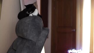 students_porn - Video [Chaturbate] bbc Tantus Charmer Breathtaking shape mistress