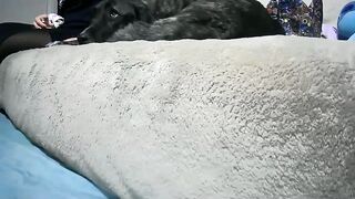 dahilamorn - [Video] tease sexy perfect handjob