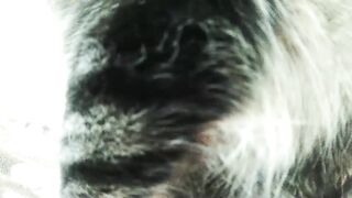 yourmilf69 - Video [Chaturbate] nut Stunning sweater meat spooning mom