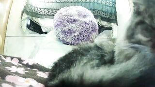 yourmilf69 - Video [Chaturbate] nut Stunning sweater meat spooning mom