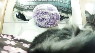 yourmilf69 - Video [Chaturbate] nut Stunning sweater meat spooning mom