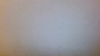 miafosterx - [Video] kinky anal porn erotic solo