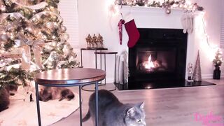 daphnemadison - [Video] spy cam dance teen cam girl