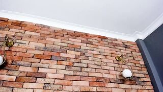 octavia_rouse - [Video] dominant sexy 1080 hd sensual