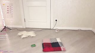 meowfairy - [Video] vagina chat feet handjob