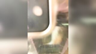 Im_samanthaaa_ - [Stripchat] colombian topless twerk student