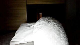 angell6969 - [New Chaturbate] clip sister massage perfect