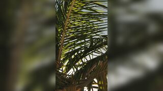 penelope frego [New Leaks]  Video torso vape cc