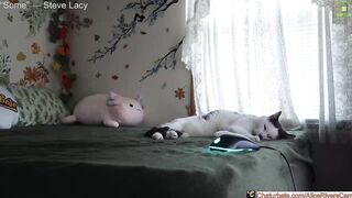 aliceriverscam - [Hot Chaturbate] first time dom dirty domination