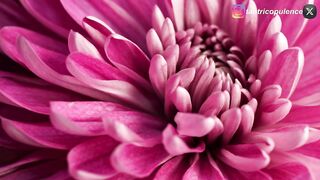 queen_things - [Live Stripchat] titty-fuck best-young blowjob big-ass-young