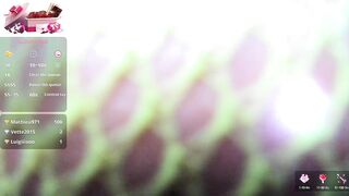 BlondeBabes - [Live Stripchat] recordable-publics recordable-privates athletic-blondes athletic-latin