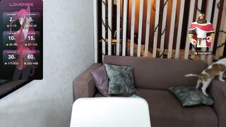 Meow_babe - [Live Stripchat] small-audience twerk brunettes recordable-privates-young