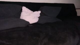 CFstudio20 - [Live Stripchat] big-ass-white dildo-or-vibrator fisting-white shaven