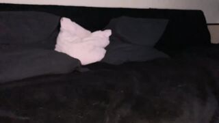 CFstudio20 - [Live Stripchat] big-ass-white dildo-or-vibrator fisting-white shaven