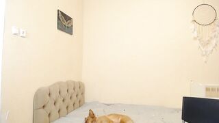 holli_trick - [Chatur New Video] spank best houseparty dildoplay