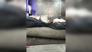 Vero19nika - Porn Video [Bongacams]: stunning melons, enchanting porn slut, ravishing physique