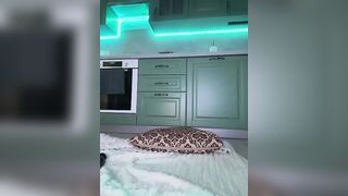 harleyquinn9 - Porn Video [Bongacams]: popular internet personality, dynamic broadcaster, ravishing décolletage